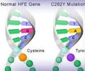 Image: substitution mutation