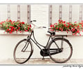 Image: A bicycle sitting on the street