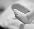 Image: Birth rate