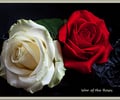 Image: 3 flowers take away 1 flower =