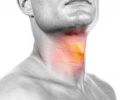 Image: throat