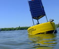 Image: buoyancy
