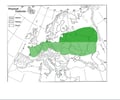 Image: European Plain
