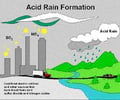 Image: Acid rain