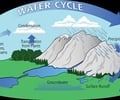 Image: Water cycle