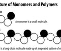Image: Monomer