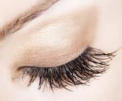 Image: eyelashes