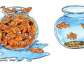 Image: carrying capacity