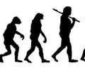 Image: Evolution