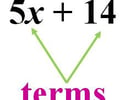 Image: algebraic term