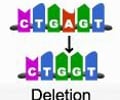 Image: deletion mutation
