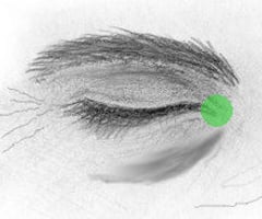 Image: angle of the eye