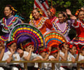 Image: culture
