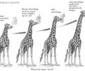 Image: Jean Baptiste de Lamarck (1744-1829)