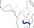 Image: Zambezi River
