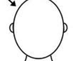 Image: head