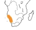 Image: Namib Desert