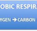 Image: Aerobic