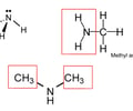 Image: What are amines?