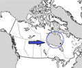 Image: Hudson Bay