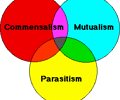 Image: Symbiosis