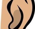 Image: ear