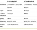 Image: R-strategist