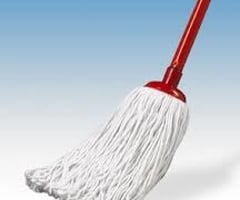 Image: mop