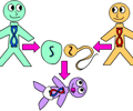 Image: sexual reproduction