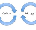 Image: biogeochemical cycle