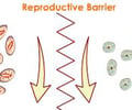Image: Reproductive isolation