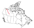 Image: Mackenzie River