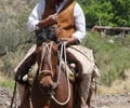 Image: Gauchos