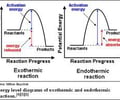Image: Define endothermic reaction