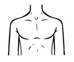 Image: chest