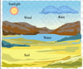 Image: abiotic factor