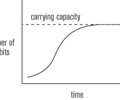 Image: Carrying capacity