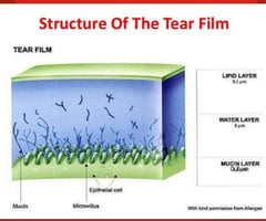 Image: Precorneal tear film