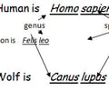 Image: binomial nomenclature