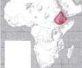 Image: Axum