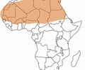 Image: Sahara Desert
