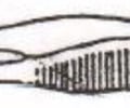 Image: tweezers