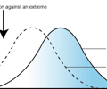 Image: directional selection