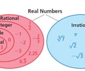 Image: real number