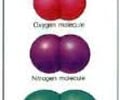 Image: Define diatomic