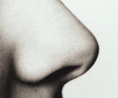 Image: nose