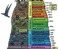 Image: fossil record