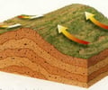 Image: Fold
