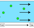 Image: Diffusion