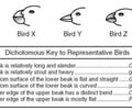 Image: dichotomous key